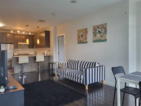 $2,900 / 2br - 2bd 2bath apt for rent at Oasis