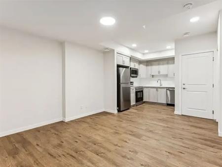 BRAND NEW 2 Bedroom Basement Suite in Mahogany! (P167B) | 325 Magnolia Way Southeast, Calgary