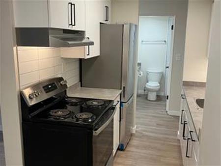 Austin Ave Renovated One Bedroom