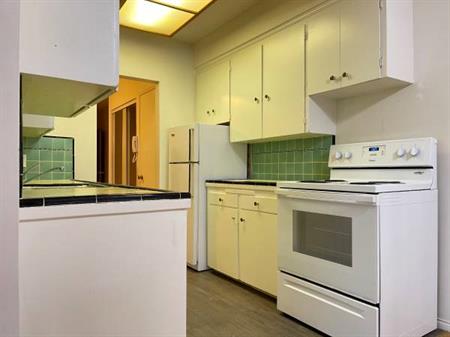 Marpole 2 bedroom apartment for rent