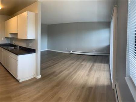 Park Terrace Apartments - 3Bed 1Bath