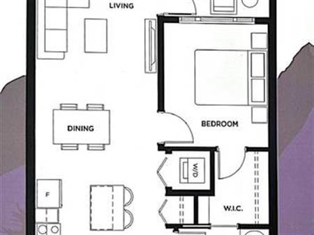 Rent of a new condo