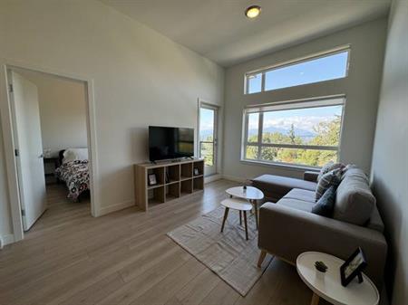 New Furnished 2Br 2Ba Apartment nearby Skytratin