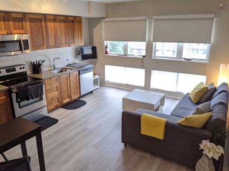 1BR furnished suite with rooftop patio