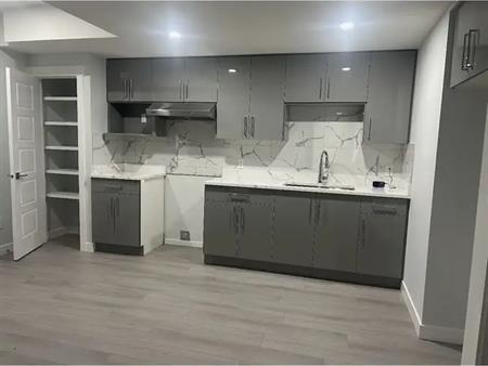 Newly built basement for rent in Laurel | Edmonton