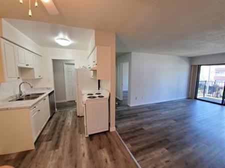 Spacious and Renovated 1-Bedroom Apartment MOVE IN 15th NOV