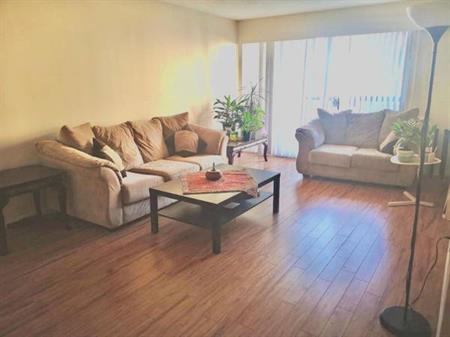 A furnished spacious 2 bedroom apartment