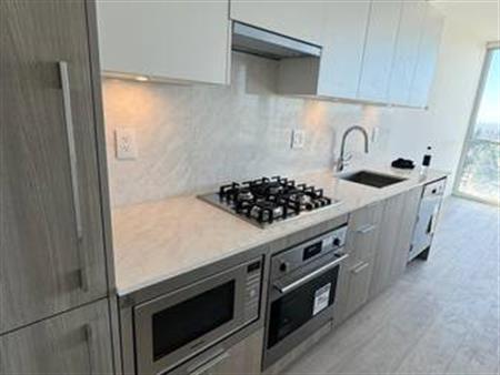 Brand New 1 bdrm in Surrey Central!