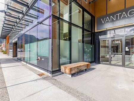 1 Bed, 1 Bath, 1 Bath At Vantage (TP236)