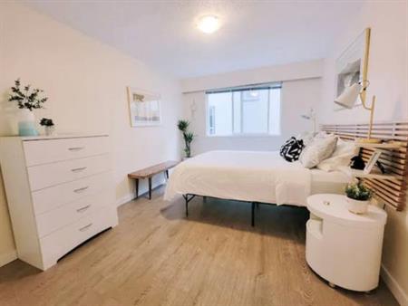 Per friendly renovated one bedroom!Kitsilano