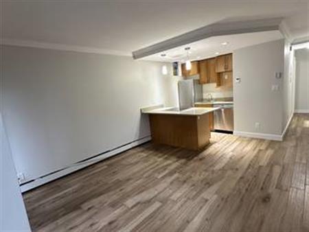 Pet Friendly, 1BR, Great Location by English Bay