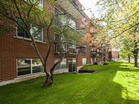 Appartement 1 chambre à louer Châteauguay à Pasteur