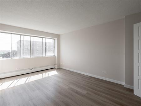 Sunny And Renovated 4 1/2 - Saint Laurent - 335 Boulevard Deguire, Saint-Laurent