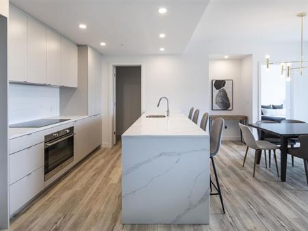 C6, 2 Bed, 2 Bath - 1300 Ave Thérèse-Lavoie-Roux, Outremont