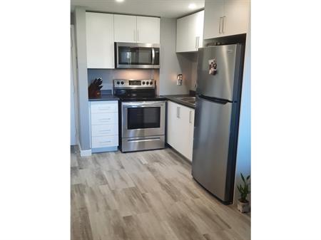 **Newly Renovated  Bachelor units all Inclusive with Internet | 1421 Brookdale Avenue, Cornwall