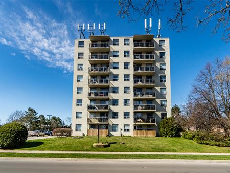 Longmoor Terrace Apartments