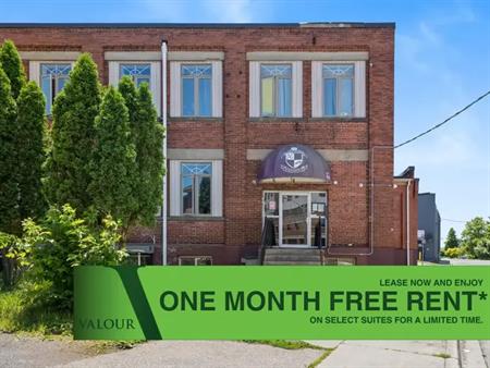 27 Bridge Street | 27 Bridge St, Brantford