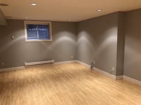 One Large 1 bed basement Suite