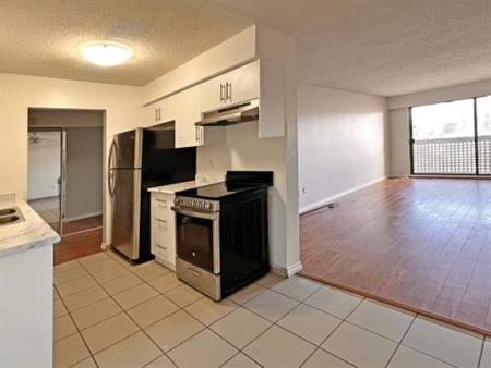 1 Bed, 1 Bath Apartment in Downtown Maple Ridge