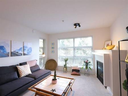 Spacious Cozy 2Bed 2Bath apartment on Burnaby Mountain for rent