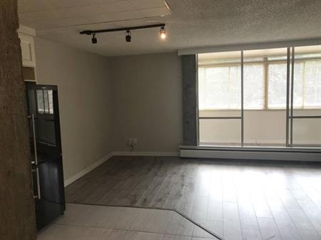 South facing clean sunny STUDIO apartment for RENT