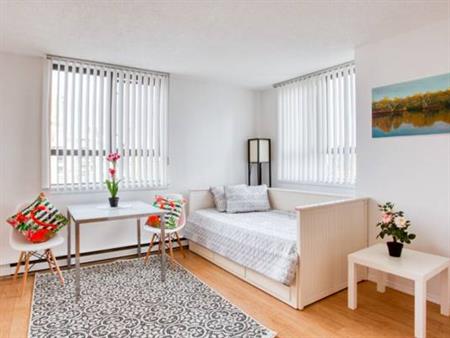 Beautiful furnished studio in Downtown Vancouver