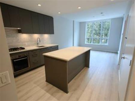 Brand New 1 Bedroom Condo for Rent in UBC