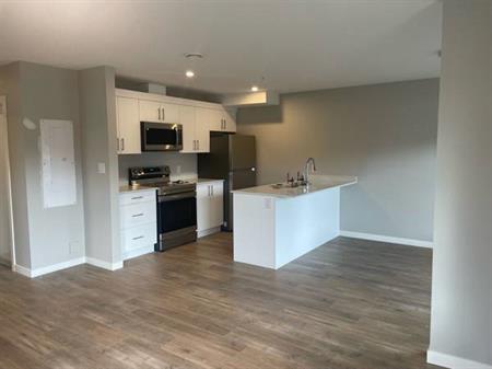 Brand new 4 bedroom 3 bathroom townhouse Jan 1/Feb 1