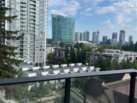 Share accommodation in brand new bright 2 bed room 2 bath in high rise