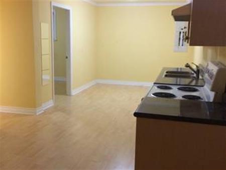 Metrotown/BCIT 1-bedroom basement unit