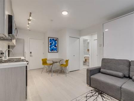 Pet Friendly - Available January 1st - Furnished Studio @ 1425 Haro