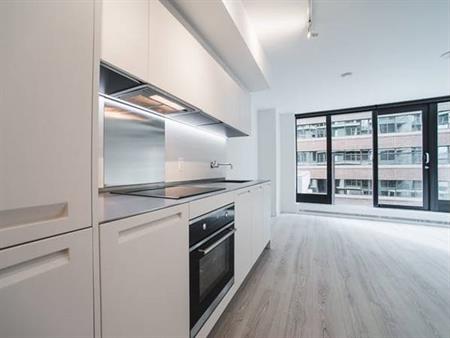 Modern Downtown One Bedroom + Den Apartment Condo