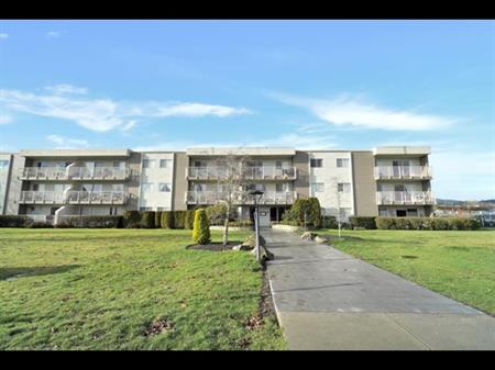 Lochside Apartments | 7840 Lochside Drive, Saanichton