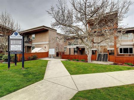 Quadra Village Apartments | 2861 Quadra Street, Victoria