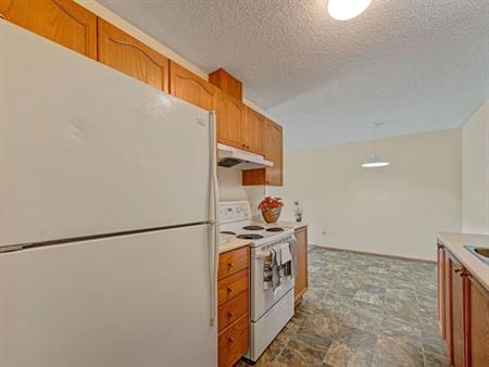 Sol Terrace | 100 Mink Creek Road, Whitecourt