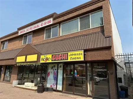 4819 48 Avenue | 4819 48 Avenue, Red Deer