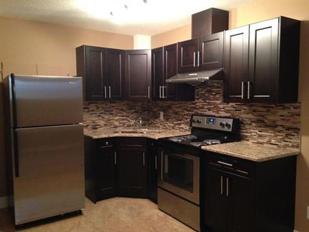 EXECUTIVE NEW 02 BED ROOMS BASEMENT AVAILABLE IMMEDIATELY | Saddlelake Drive Northeast, Calgary