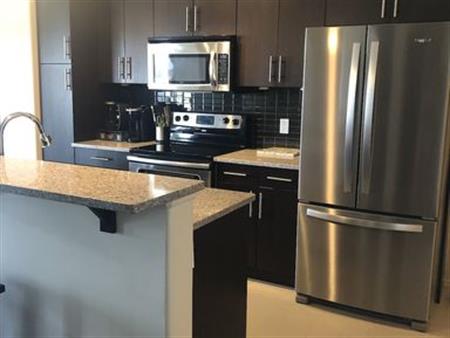 Allergy free, furnished executive corner condo, gym and pool access in complex | 7825 71 St NW, Edmonton