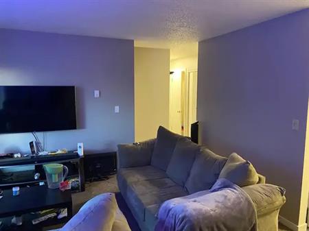 1 Bedroom Apartment in Sunnyside | Calgary