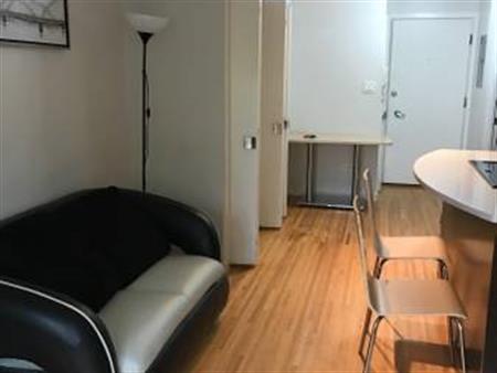 RENOVATED-AVAILABLE December 1-Pet Allowed Furnished Studio@ 1540 Haro