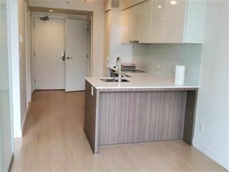 vancouver downtown one bed room apartment for rent