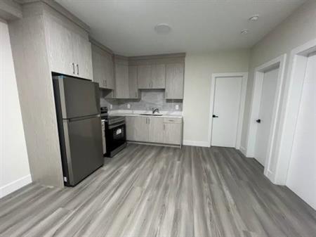 2BR Brand New Basement