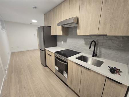 2 Bedroom 1 Bath Brand New Suite Joyce Collingwood