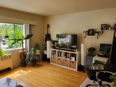 KITSILANO NICE LARGE 1 BR