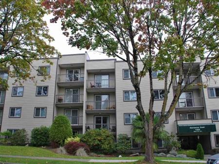 1 BEDROOM APT IN MARPOLE (Available NOV 6 )◀◀◀