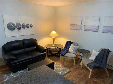 Fully furnished!!! 2 bedroom basement suite Dec 01