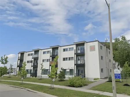 McGee Apartments | 80 McGee Avenue, Kitchener