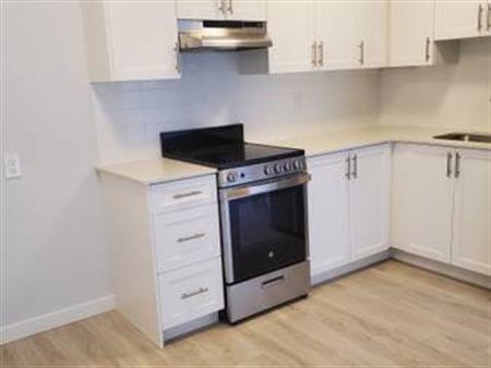 1-Bedroom Apartment-Newly Renovated: