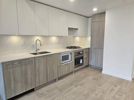 Brand new 1 bed 1 bath condo with A/C surrey central