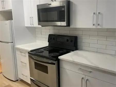 Freshly Renovated, 850sf 2 Bedroom 1.5 Bathroom steps from MacEwan, near Rogers | 214 - 10730 112 St NW, Edmonton